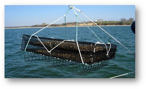 Shellfish Cage being moved using a winch